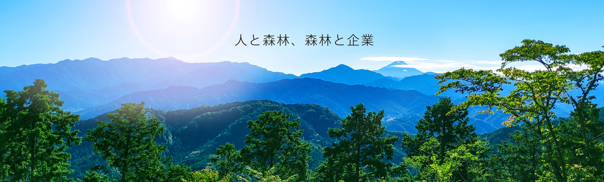 人と森林(mori)と、森林(mori)と企業